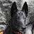 Donna Sanford's profile image