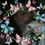 Alexis Gerber's profile image