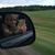 Genevieve Zielinski Holt's profile image