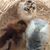 Christina M. Klauber's profile image