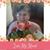 Lois Wright Elmer's profile image