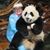 Kristine Sturdevant's profile image