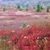 Sue Soulliere's profile image