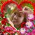 Cristina Segarra's profile image