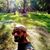 Clayton Drawdy's profile image