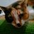 Jessica Lynn Butler's profile image