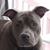 Jill N Scott DeSplinter's profile image