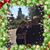 Brian Steffens's profile image