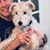 Maureen Dowe Gallo's profile image