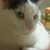 Geomara Suazo's profile image
