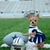 Lisa Ballew's profile image