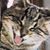 Jason Kniss's profile image