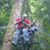 Aaron Nystrom's profile image