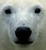 Brent K.'s profile image