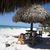 Donna Cardoza Andersen's profile image