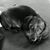 Dawn Rybolt's profile image