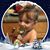 Cindy Harris's profile image