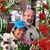 Phyllis Menzel's profile image