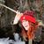 Christina Sutherland's profile image