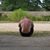 Sean Michael's profile image