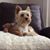 Stephanie Mills Smith's profile image