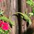 Elizabeth Dry's profile image