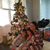 Elizabeth Brackin's profile image