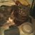 Cindy Oneil's profile image