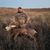 Chris Jacka's profile image