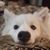 Mariana Y. Thomas's profile image