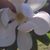Marcie Mason Nagel's profile image