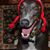 Patricia A. Rouzer's profile image