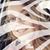 Perrianne Hall's profile image