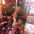 Carolyn Geppi-Bossie's profile image