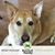 Mary Hannigan Solano's profile image