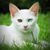 Alix Setterlund's profile image