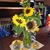 Anna Jelsma's profile image
