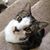 Diane Weinhold's profile image