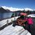 Michelle M. White's profile image