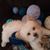 Nona McKeever's profile image