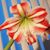 Valerie Mills's profile image