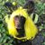 Penny Davis's profile image