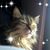 Lisa Jones's profile image