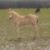 Michelle Aleno Morris's profile image