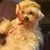Donald Davis Sr.'s profile image