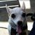 Doug Bennett's profile image