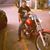Roberto Garcia's profile image