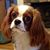 Christine Englemann's profile image