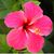 Alicia Alvarez's profile image
