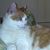 Julie Clarke's profile image